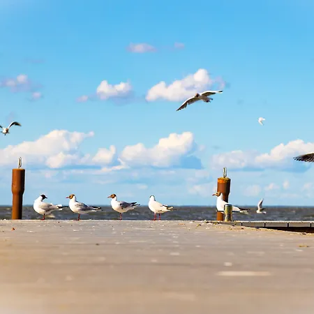 Kompleks wypoczynkowy Haffhus - & Ueckermünde